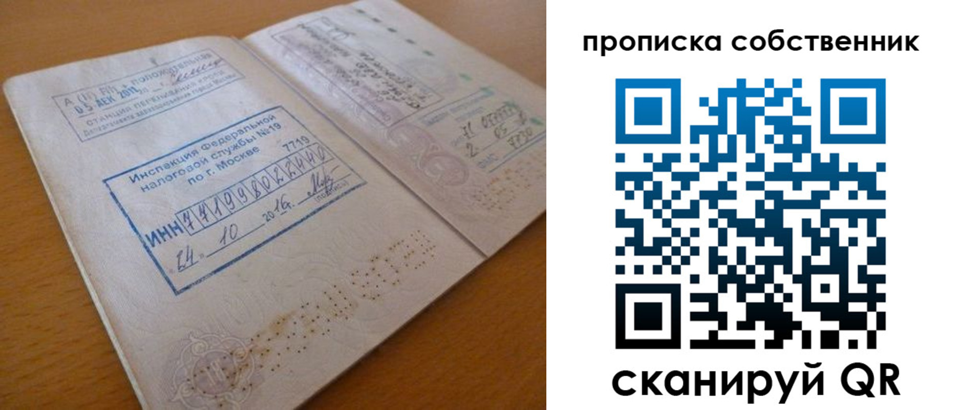 прописка для школы в Долгопрудном